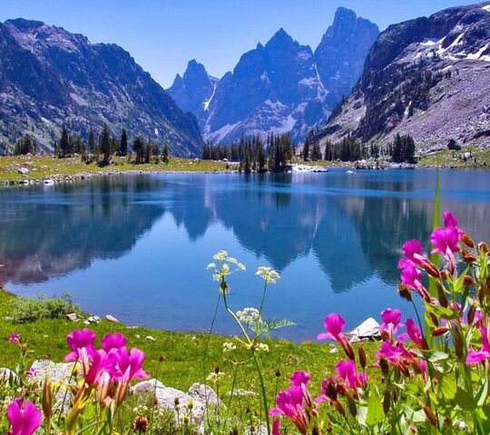 Paysage majestueux